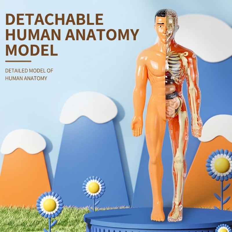 Human Body Puzzle - Kit d'expériences scientifiques DIY pour l'école