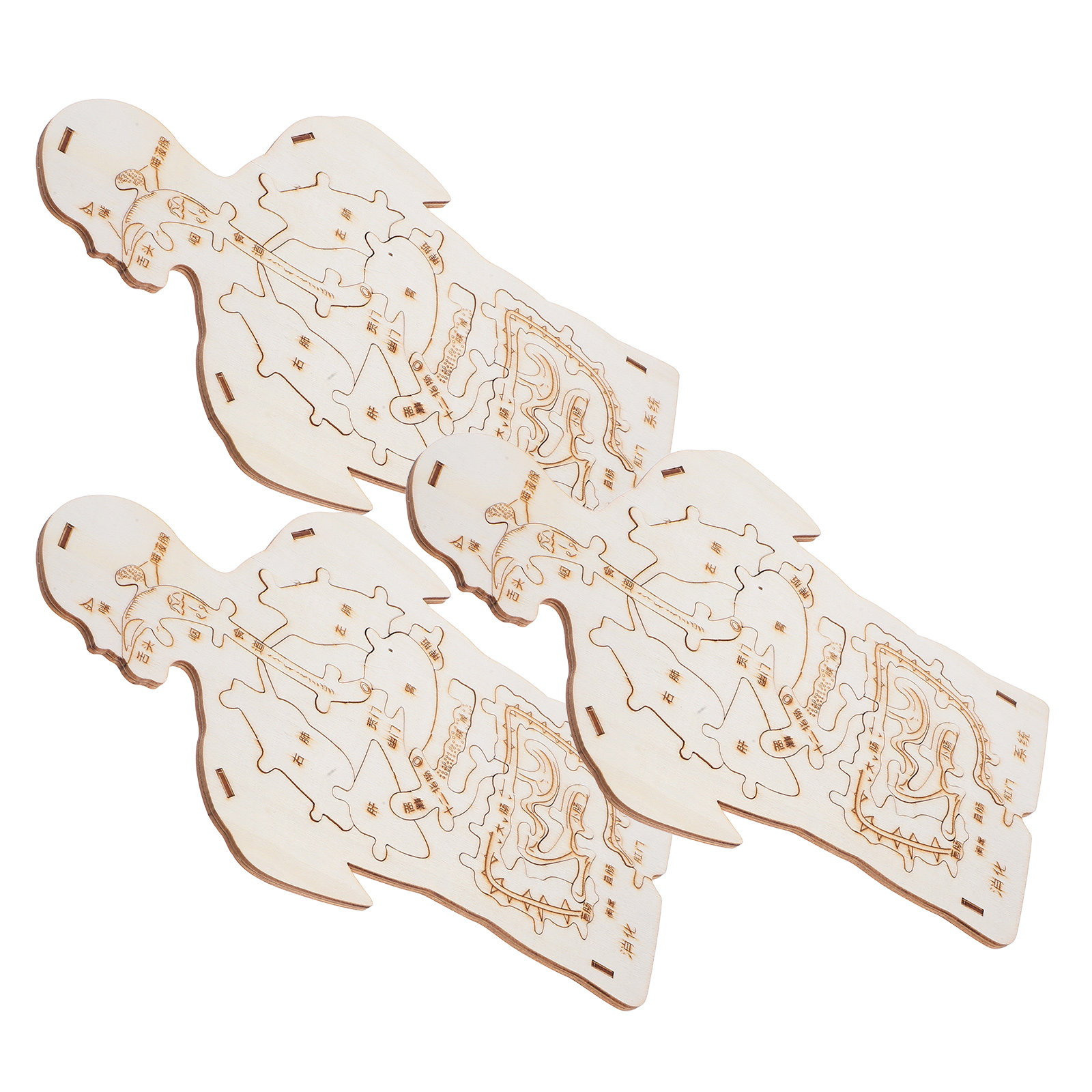 Ensemble éducatif de 3 puzzles - Human Body Puzzle avis et prix