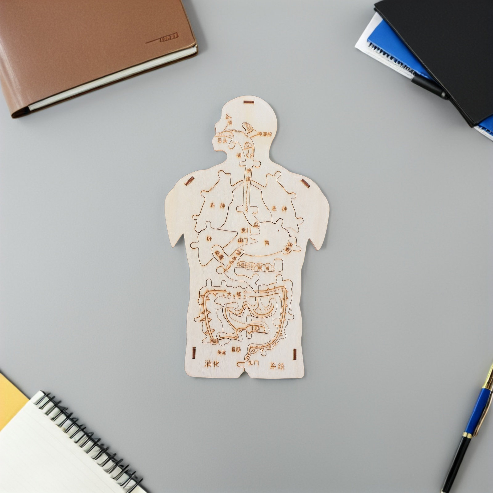 Ensemble éducatif de 3 puzzles - Human Body Puzzle avis et prix