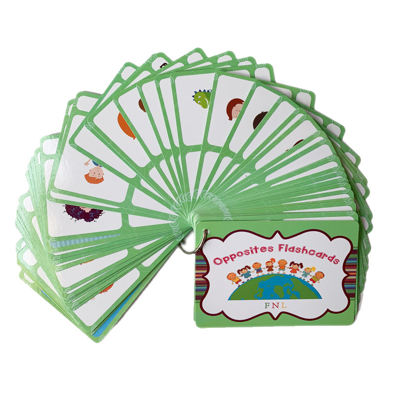 100 cartes mémoire sur les gro - Kids Education Gift avis et prix