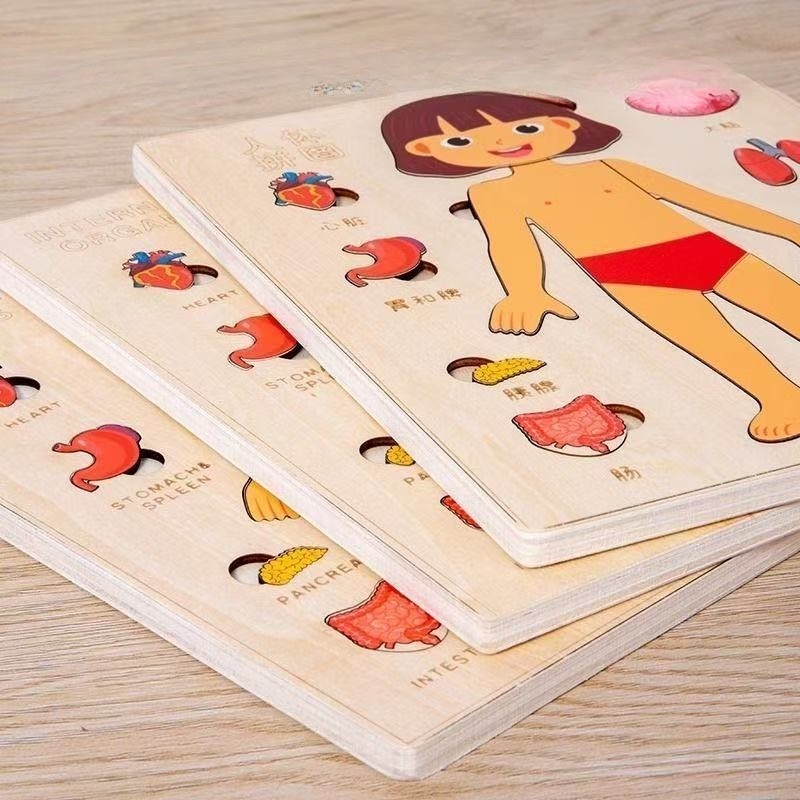 Puzzles Montessori, planche oc - Human Body Puzzle avis et prix