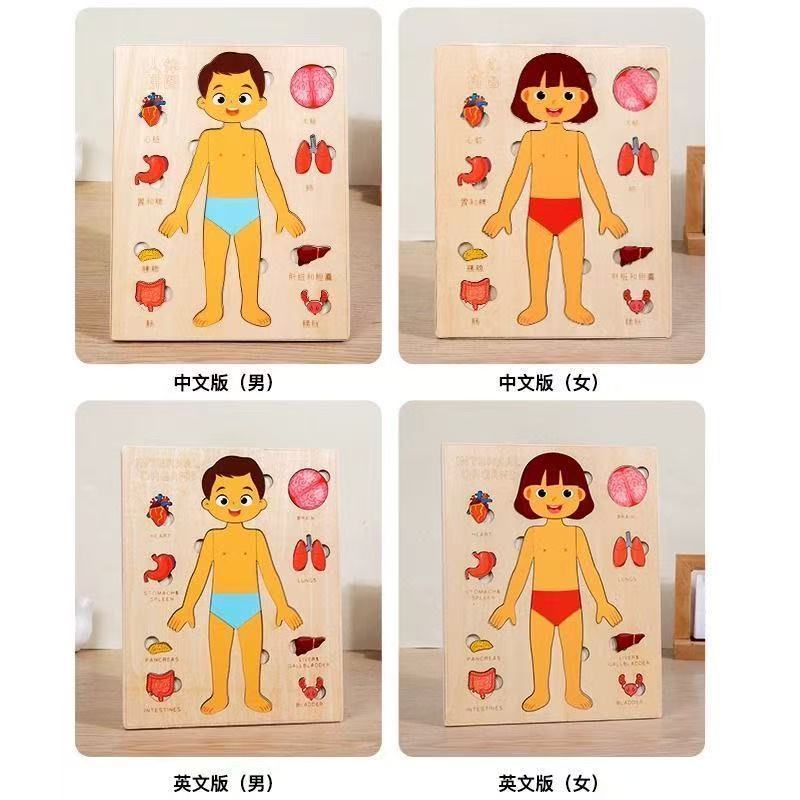 Puzzles Montessori, planche oc - Human Body Puzzle avis et prix