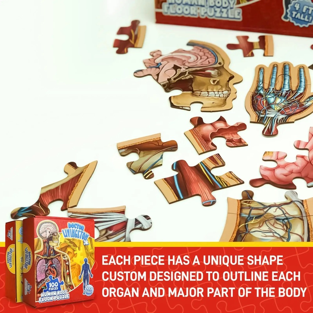 Puzzle d'anatomie humaine de 1 - Human Body Puzzle avis et prix
