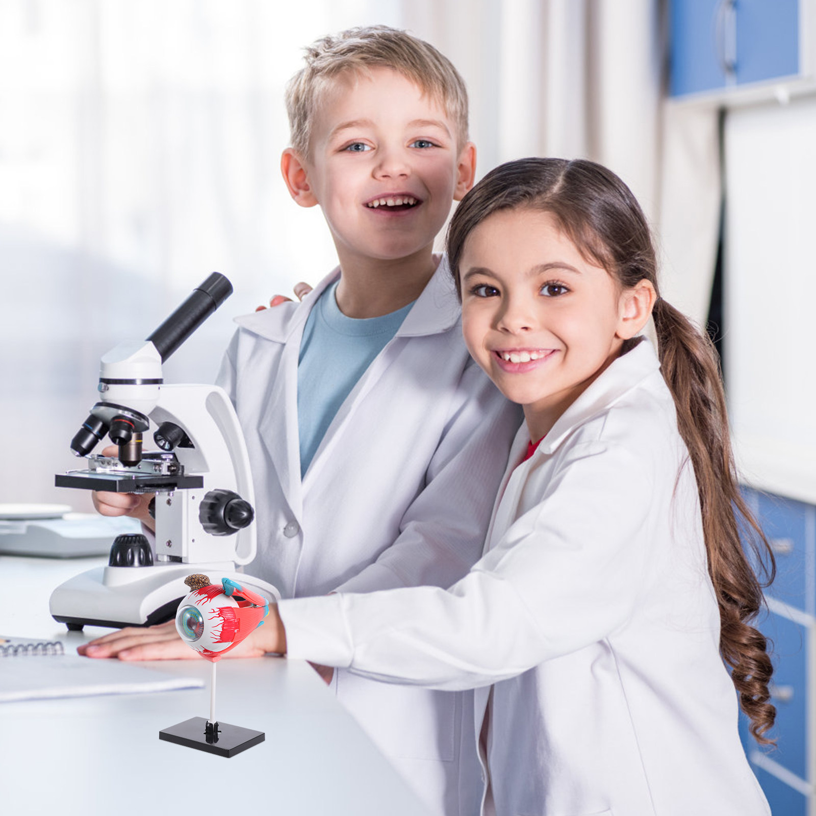 Puzzle éducatif réaliste sur l - Human Body Puzzle avis et prix