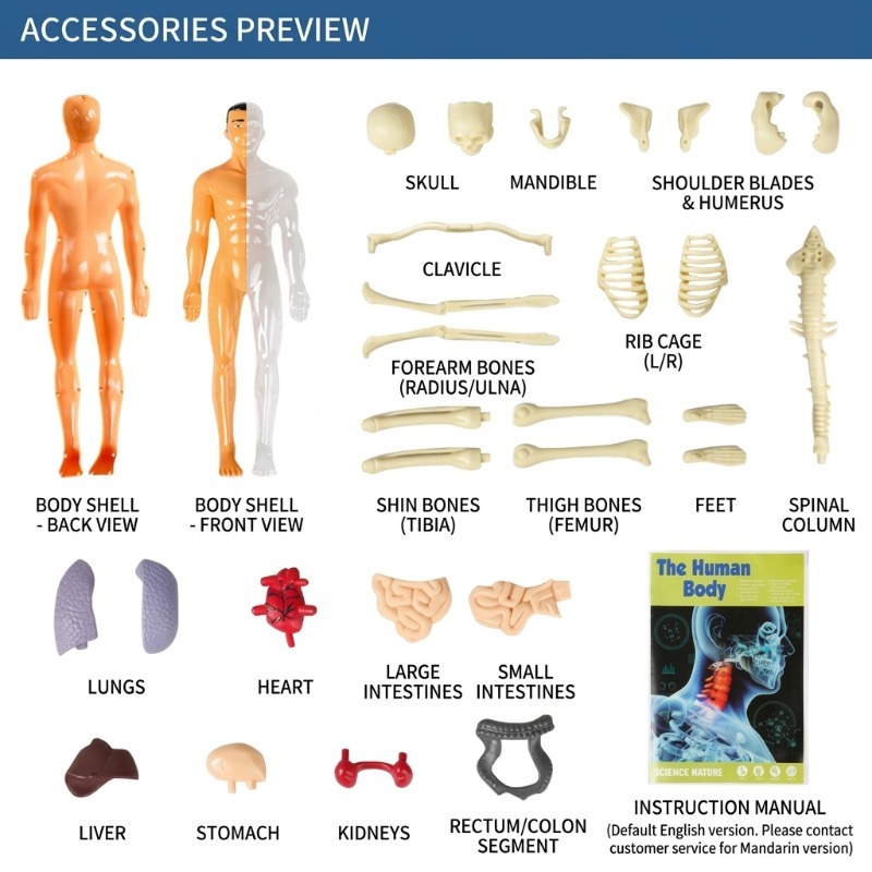 Kit d'expériences scientifique - Human Body Puzzle avis et prix