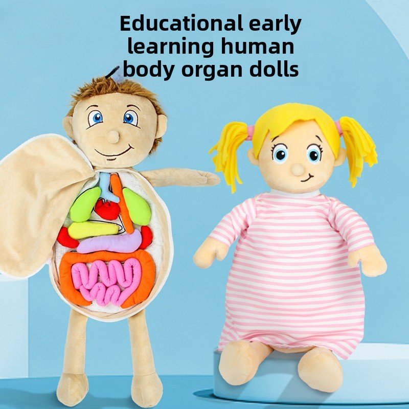 Puzzle de cognition des organe - Human Body Puzzle avis et prix