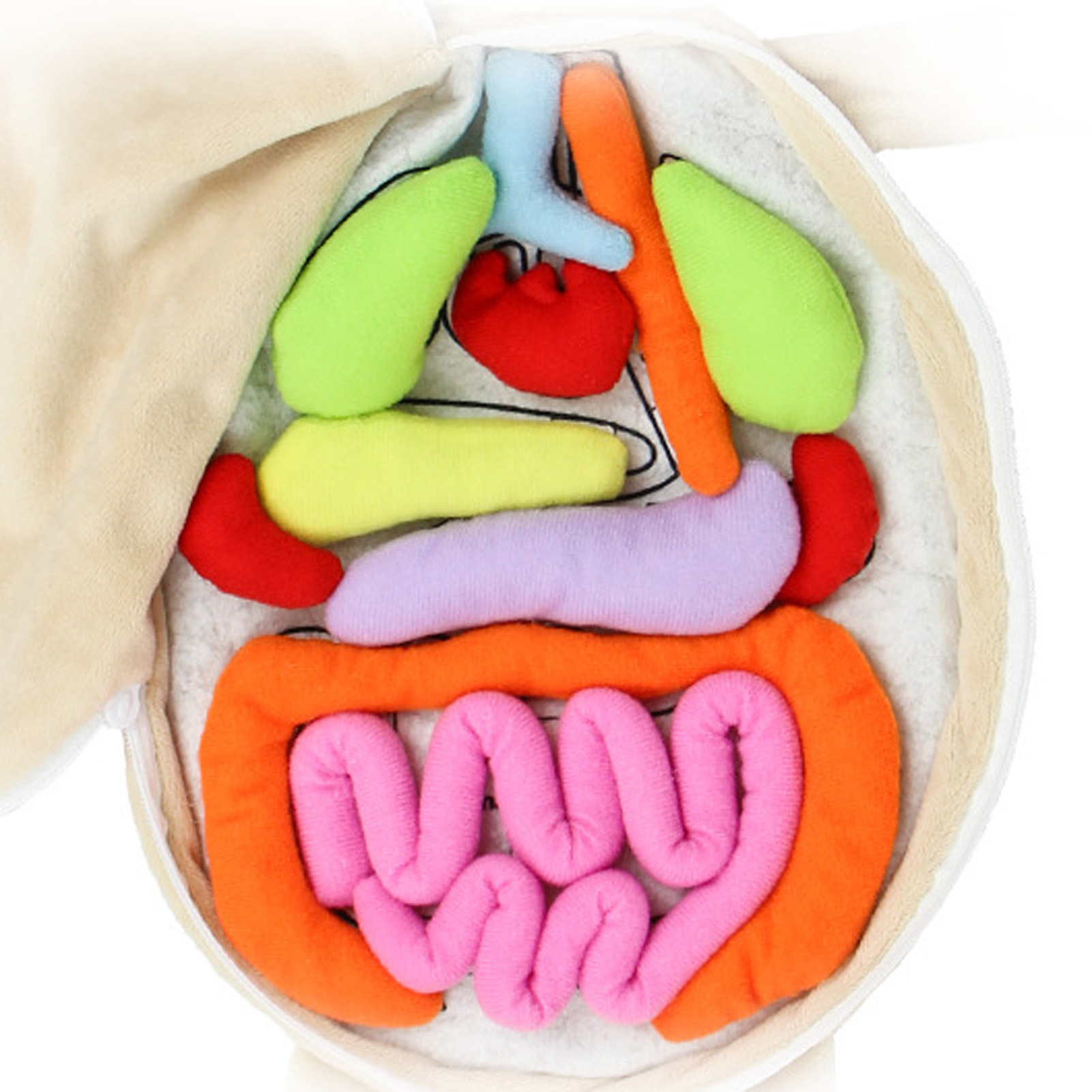 Puzzle 3D Montessori pour enfa - Human Body Puzzle avis et prix